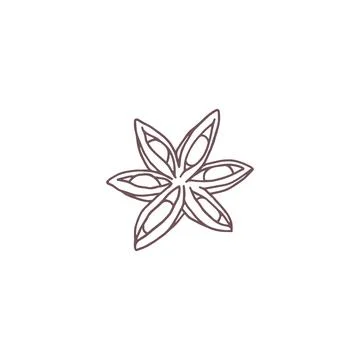 Vector graphics with illustrations of fragrant star anise on a white backgrou 스톡 일러스트