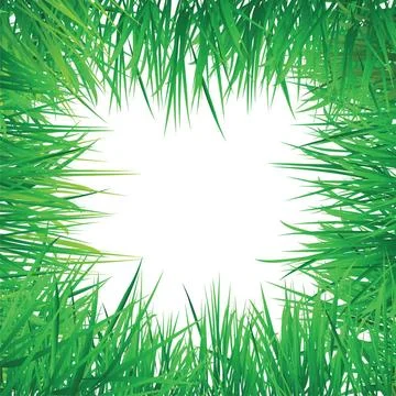 Vector grass border vector grass border, put your image or text at the cen... 写真素材