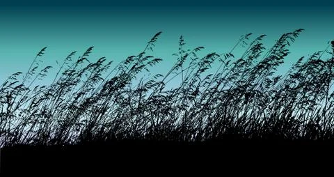 Vector grassy silhouette Stock Illustration