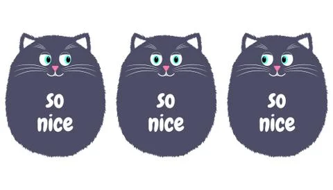 Vector Gray Cat in Cartoon Style with Inscription So Nice Stock-Illustration