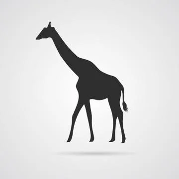 Vector Gray Silhouette of Giraffe Stock Illustration