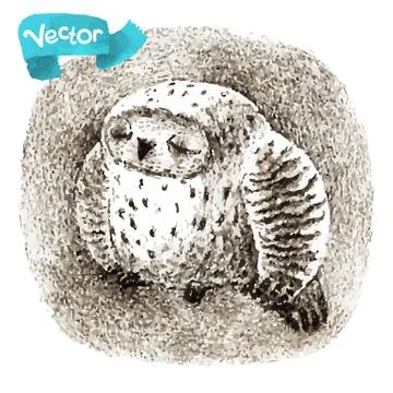 Vector Great Grey Owl Sleeping In a Hollow 스톡 일러스트