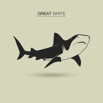 Vector Great white shark Stock Illustration