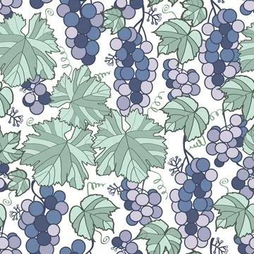 Vector green and puple grapes seamless pattern print background. Stock Illustration