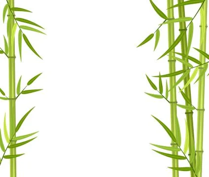 Vector green bamboo stems Illustrazione stock