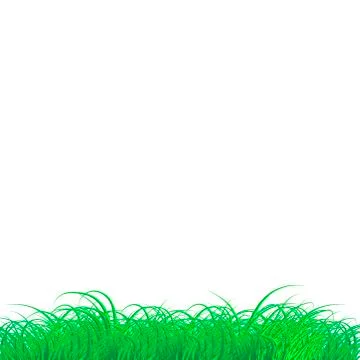 Vector green big grass texture frame Isolated Transparent background Illustrazione stock