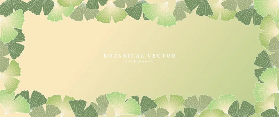 Vector green botanical background with green ginkgo biloba leaves. Stock Illustration