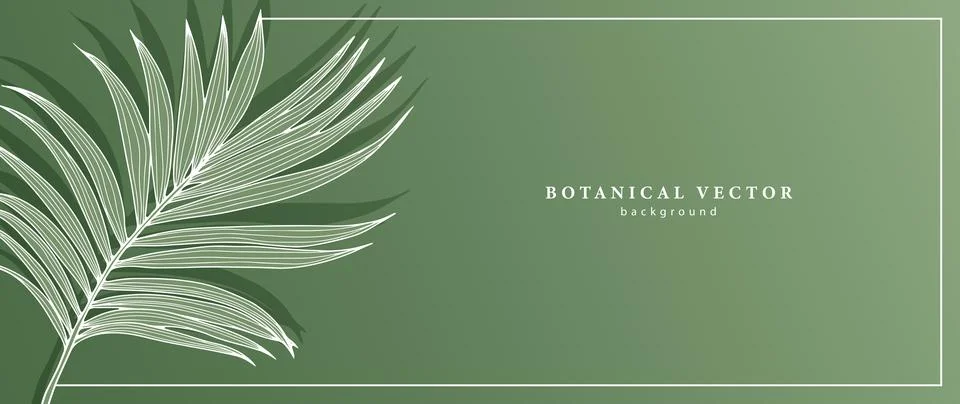 Vector green botanical background with palm leaf. Illustrazione stock