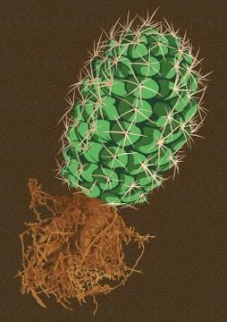 Vector green cactus Stock Illustration