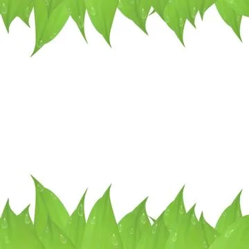 Vector green card design, frame of green leaves. Invitation to the wedding po Stock Illustration