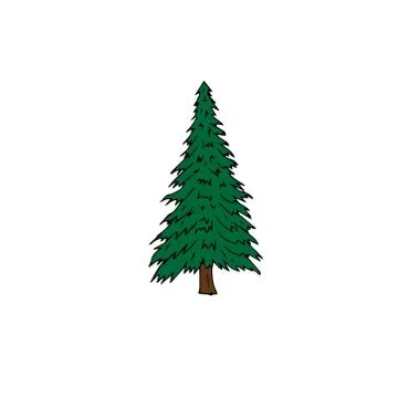Vector green colored hand drawn sketch spruce Stock Illustration