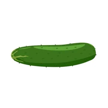 Vector green cucumber. Solid and flat color style design. Stock Illustration