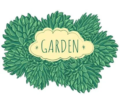 Vector green echeveria frame with text Garden Stock Illustration