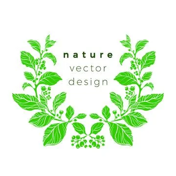 Vector green frame of mate bush, branch, leaf, flower, berry. Organic templat Illustrazione stock