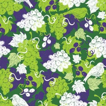 Vector green grape vine illustration with leaves and bird hand drawn repeat p Stock Illustration