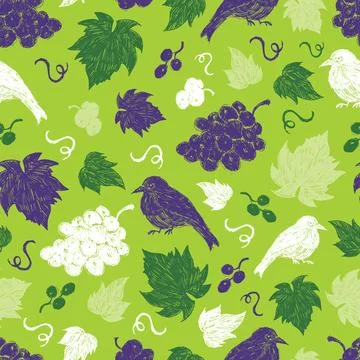 Vector green grape vine illustration with spaced out leaves and bird hand dra Stock Illustration