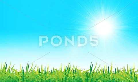 Vector green grass and blue sky Stock Illustration
