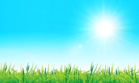 Vector green grass and blue sky Stock Illustration