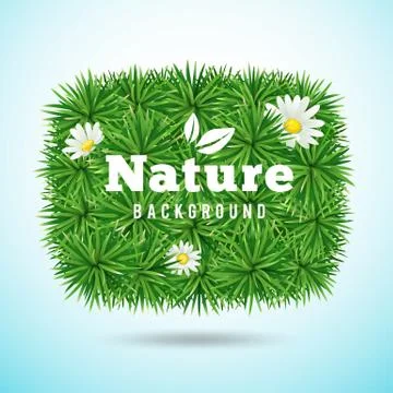 Vector green grass and flower, nature concept design Stock Illustration