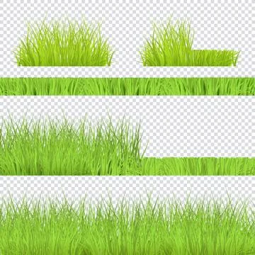 Vector green grass border for summer landscape Illustrazione stock