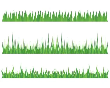 Vector green grass illustration Illustrazione stock