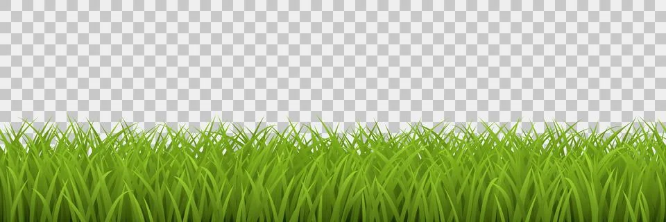 Vector green grass seamless border isolated on transparent background. Stock Illustration