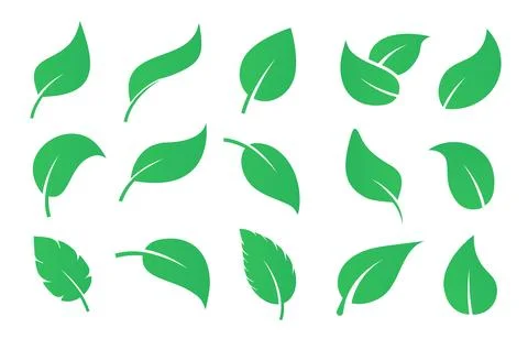 Vector green leaf eco tree plant organic shape bio symbol. Web green leaves Stock Illustration