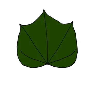 Vector green leaf inspired by a garden plant Stock Illustration