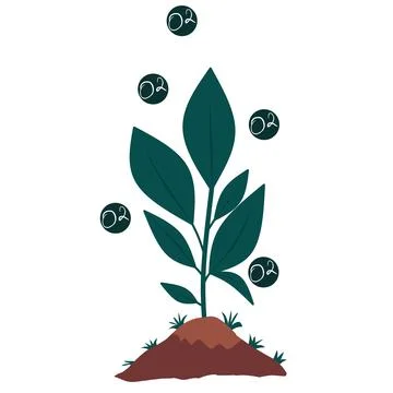 Vector green leafy plant,  Illustrazione stock