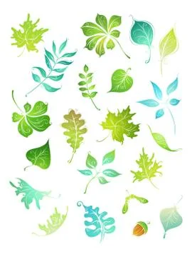 Vector green leaves. Stock Illustration