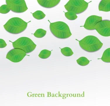 Vector Green Leaves Stock Illustration