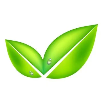 Vector green leaves on a white background. Stock Illustration