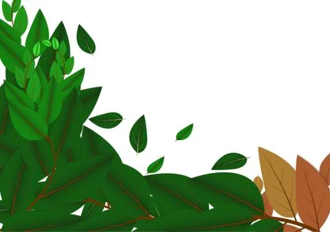 Vector : Green leaves on white background Stock Illustration