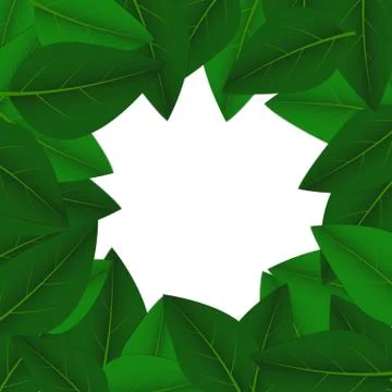 Vector : Green leaves on white background Stock Illustration