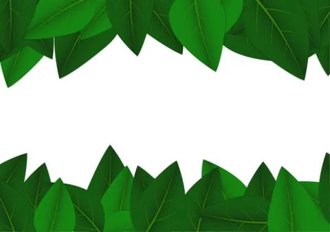 Vector : Green leaves on white background Stock Illustration