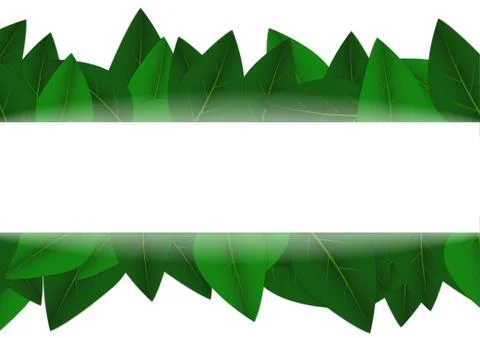 Vector : Green leaves on white background Stock Illustration