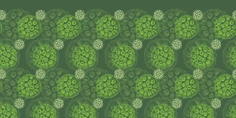 Vector green monochrome background horizontal pattern with hand drawn lotus seed Illustrazione stock