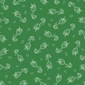 Vector green monochrome single rose stalk outline seamless pattern. Perfect f Stock Illustration
