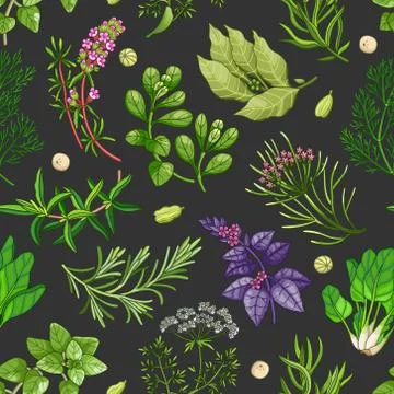 Vector green pattern with herbs on dark Stock Illustration