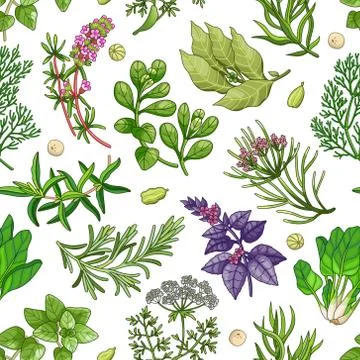 Vector green pattern with herbs on white Stock Illustration