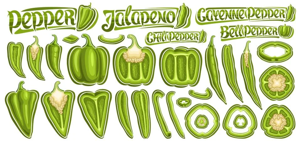 Vector Green Pepper Set Stock Illustration