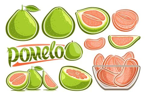 Vector Green Pomelo Set Stock Illustration