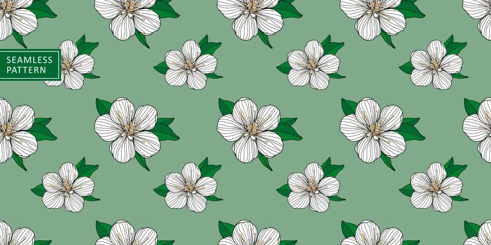 Vector green summer seamless pattern with white cherry blossoms Stock Illustration