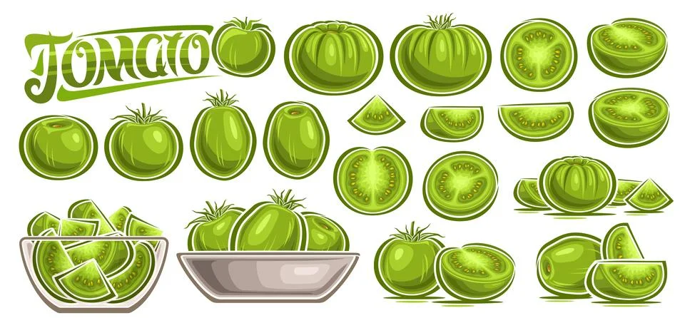 Vector Green Tomato Set Stock Illustration