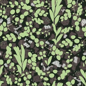 Vector green tropical round leaf creeper plant duit-duit Pyrrosia pilosello.. Stock Illustration