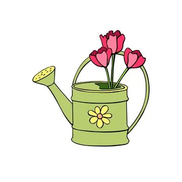 Vector green watering can as vase with red tulips flowers in hand drawn doodl Stock Illustration