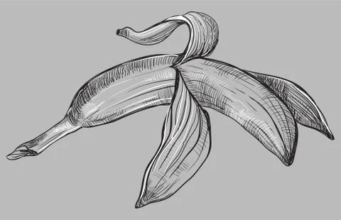 Vector grey fruit-banana Stock Illustration