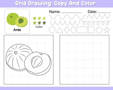 Vector Grid Drawing Copy Color Palette Kids Worksheet With Cute Amla Shape .. Stock Illustration