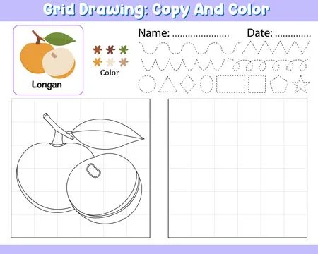 Vector Grid Drawing Copy Color Palette Kids Worksheet With Cute Longan Shap.. Stock Illustration