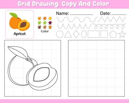 Vector Grid Drawing Copy Color Palette Kids Worksheet With Cute Apricot Sha.. Stock Illustration